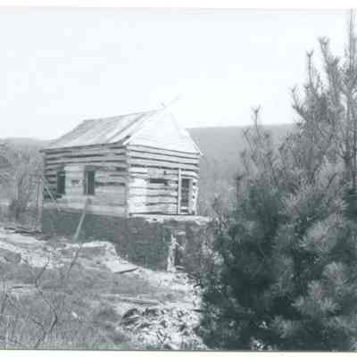 Exterior view of farmhouse and tree in foreground
