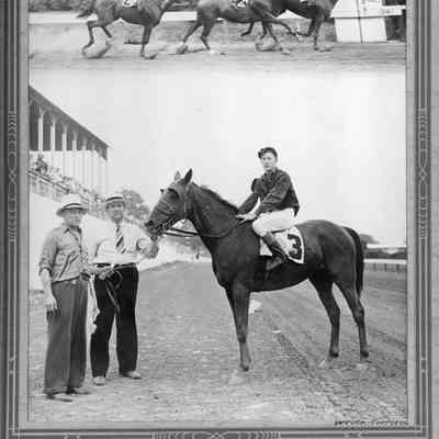 "Quill" at Hagerstown Racetrack