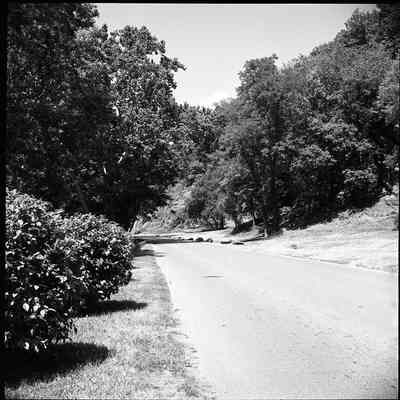 Shenandoah Street and the Potomac River