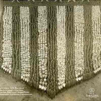 The Human Shield: Origformat: Other