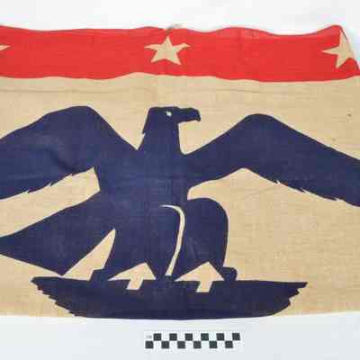 National War Fund flag