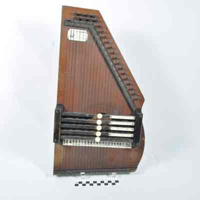 23 string autoharp