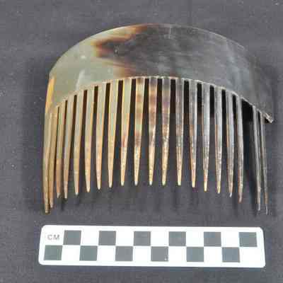 Tortoise shell comb used as a hair adornment