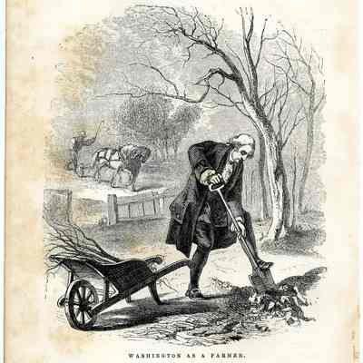 Washington as a Farmer