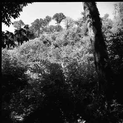 Shenandoah Street and the Potomac River: Origformat: Other