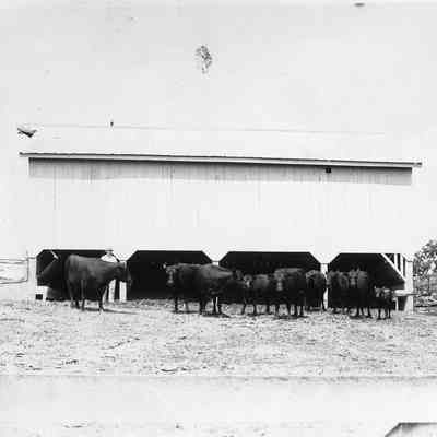 Gap View Farm Outbuildings