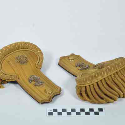 U.S. Navy epaulets