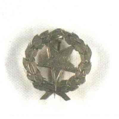Star and wreath pin
