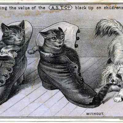 A.S.T. Co. black tip ad: Origformat: Other