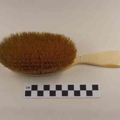 Ivory handled hairbrush