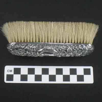 Small clothes brush