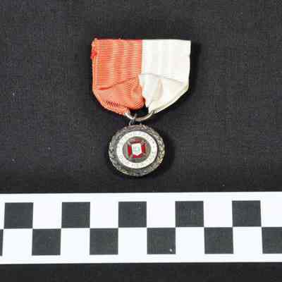 United Daughters of the Confederacy award