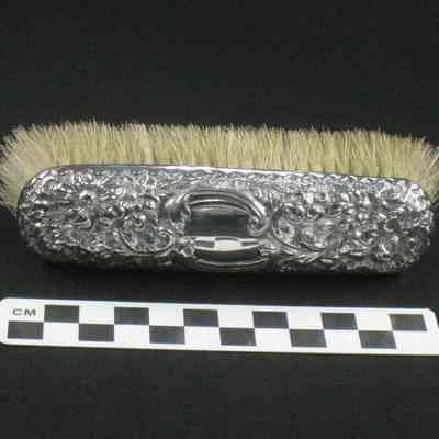 Small clothes brush