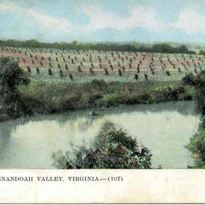 In the Shenandoah Valley, Virginia