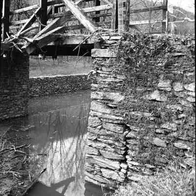 Flood damage photos of basements and area of Shenandoah Street