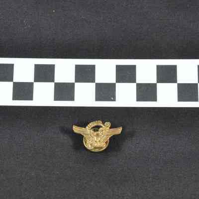 USNR pin