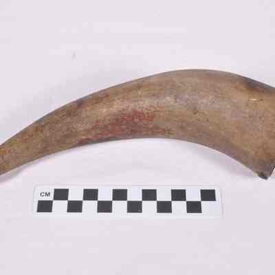 Powder Horn