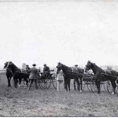 Driving Horses at the Horse Show