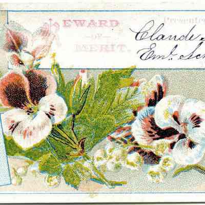 Reward of merit school cards