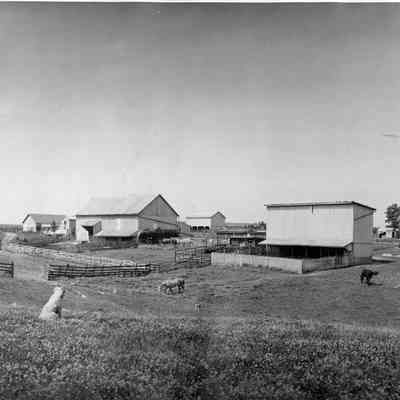 Gap View Farm