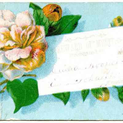 Reward of merit - front