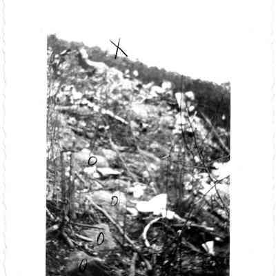 DC-4 plane crash on WV side of Blue Ridge Mtns - June, 1947