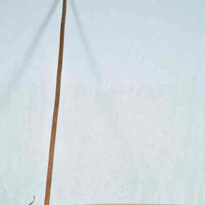 Wooden flail used to thresh grain