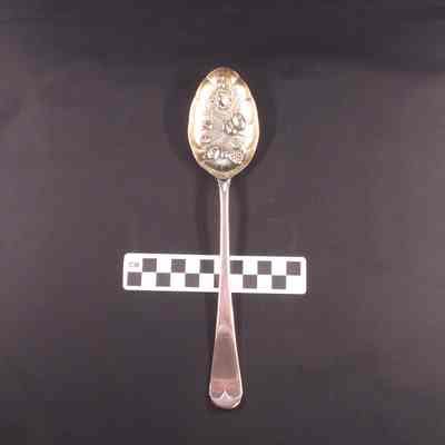 Silver serving spoon for fruit