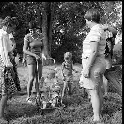 Piedmont auction, 1981: Origformat: Other