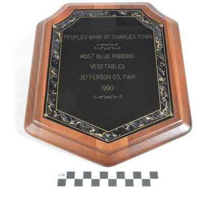 Wooden trophy plaque