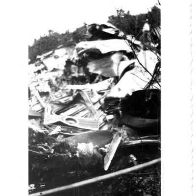 DC-4 plane crash on WV side of Blue Ridge Mtns. - June, 1947