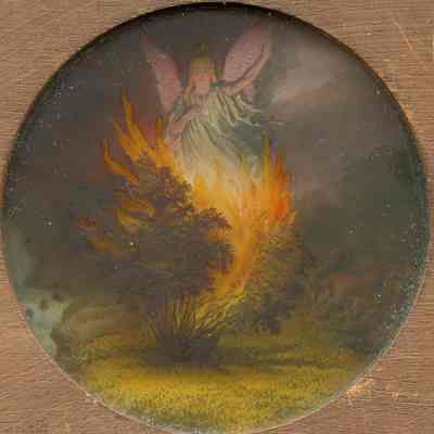Burning Bush