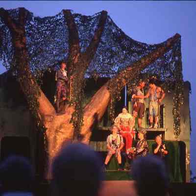 Shakespeare in the Park