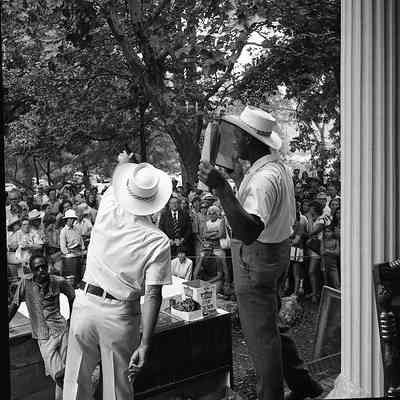 Piedmont auction, 1981: Origformat: Other