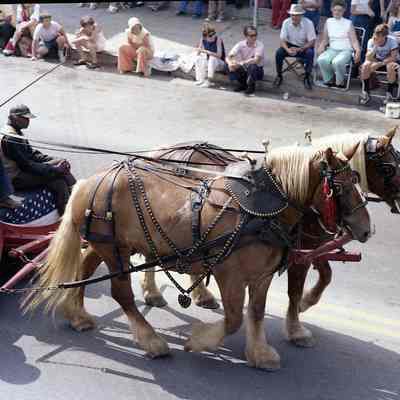 Centennial parade celebrating July 4, 1976