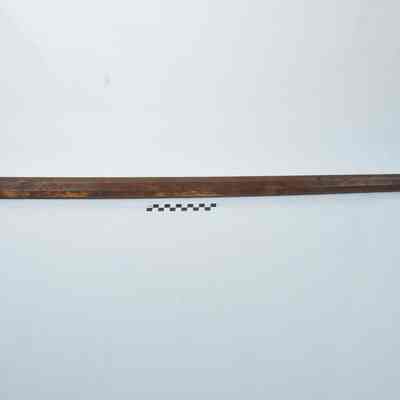 Walking stick