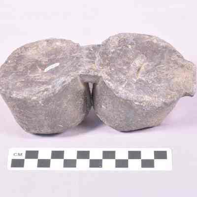 Horse hitching weight