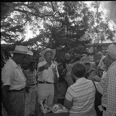 Piedmont auction, 1981: Origformat: Other