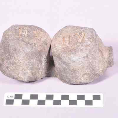 Horse hitching weight