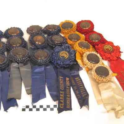 Twenty-one horse show ribbons