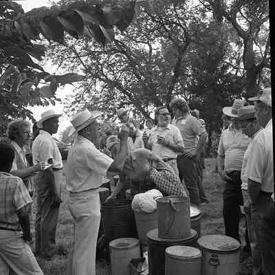 Piedmont auction, 1981: Origformat: Other