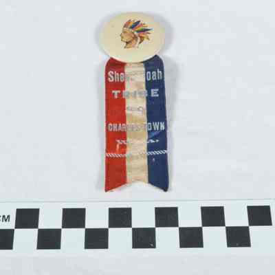 Shenandoah TRIBE 89 pin