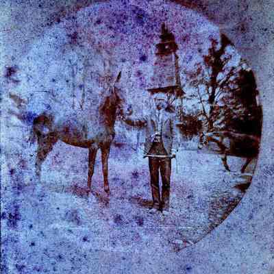 Man and horse