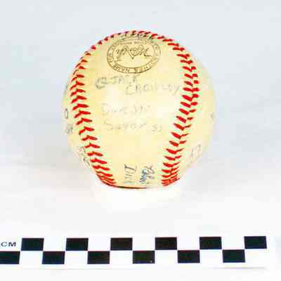 Regulation baseball from sectional tourney