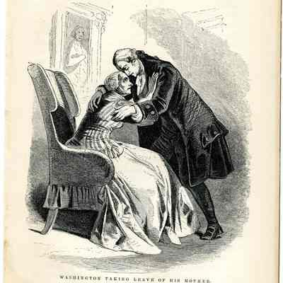 Washington Taking Leave of his Mother