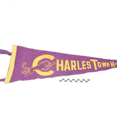 Charles Town High School pennant