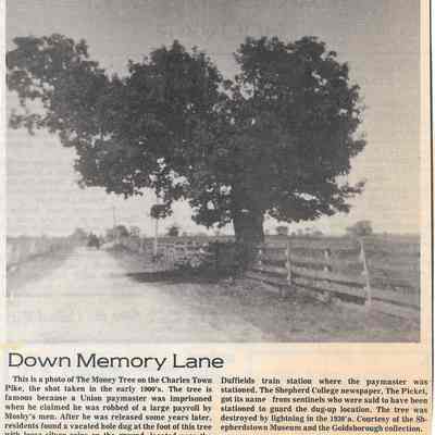 Money Tree on Charles Town Pike, early 1900s (IMG3908096)