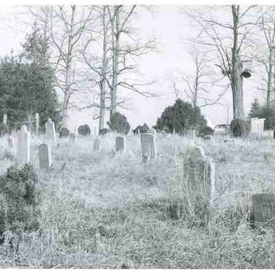Lucas burial ground at Elmwood
