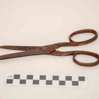 Rusty scissors