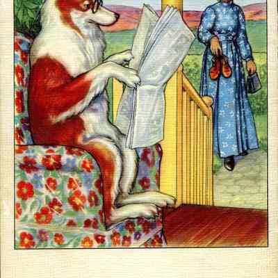 Mother Hubbard's Dog Back Cover